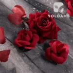 三分妄想 Identity V 第五人格 患者 コスプレ衣装 | 公式正規品 1/3Delusion 詳細3